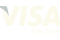 icon-visa-electron